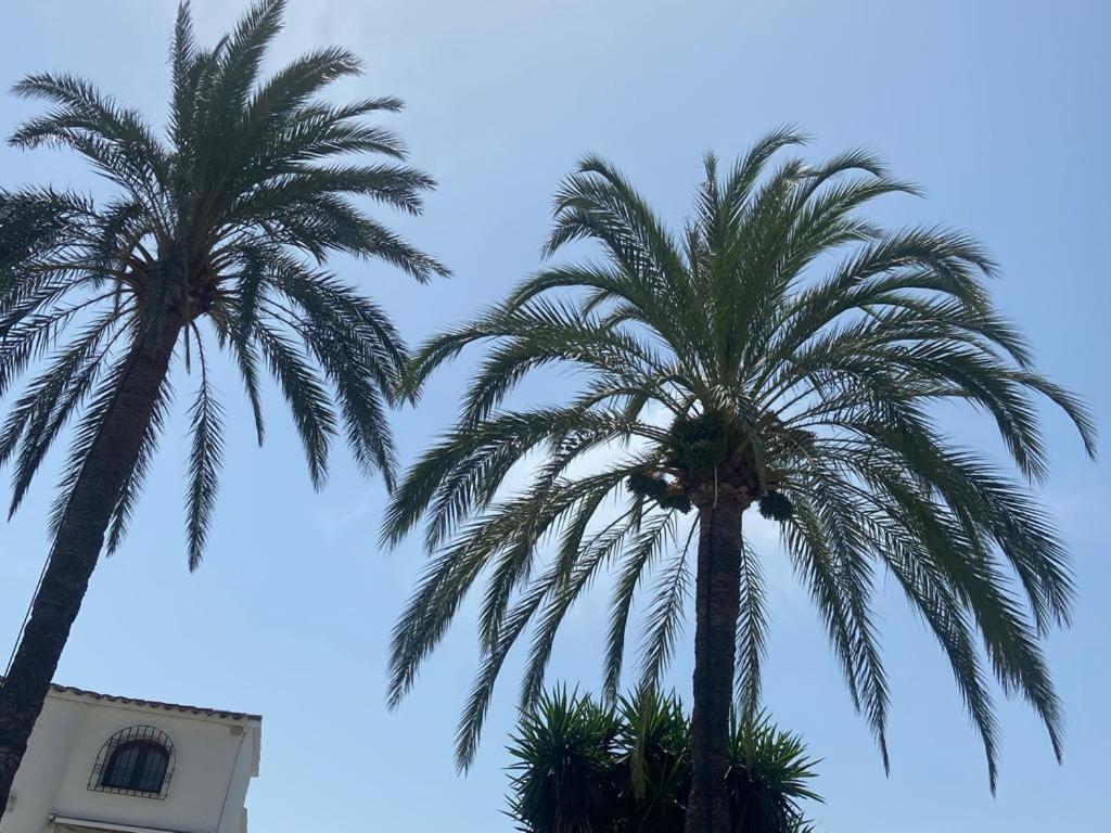 Apartamento Urb Oasis Park II Denia, Las Marinas Eksteriør billede